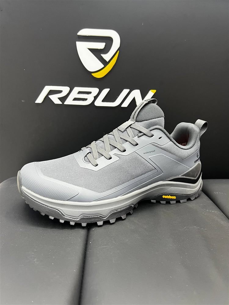 shoe